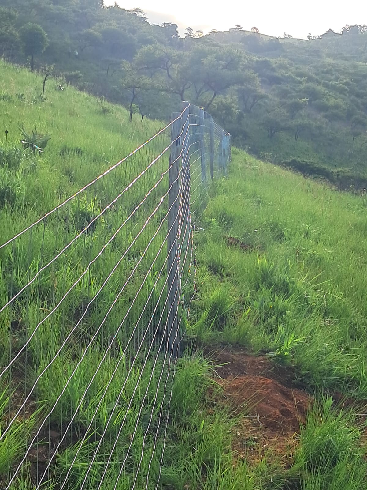 Metropolitan Office Tower